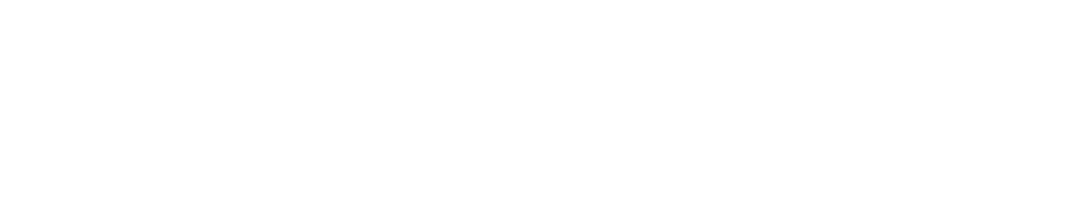 VSIP 30 Community Day
